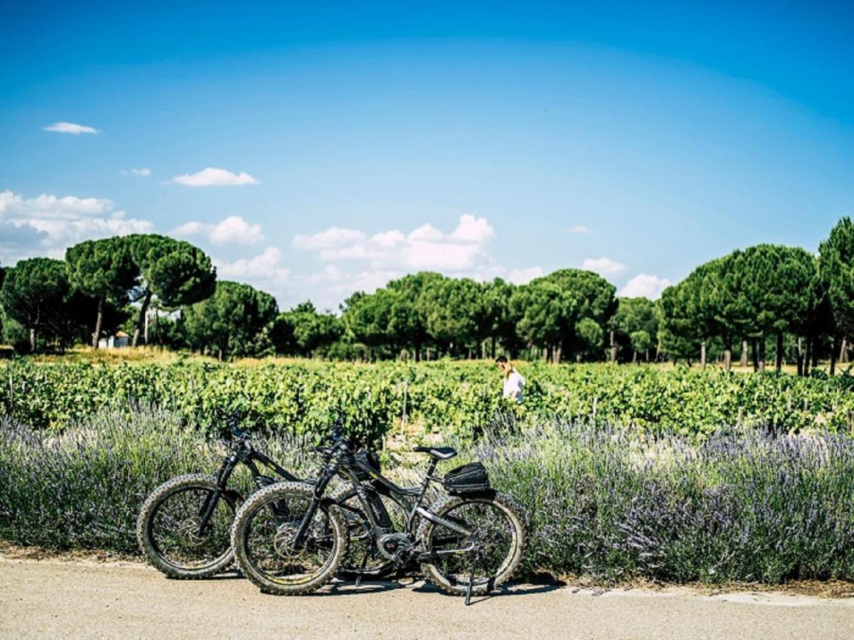 Abadia Retuerta Ledomaine Hotel Sardon De Duero Eksteriør billede