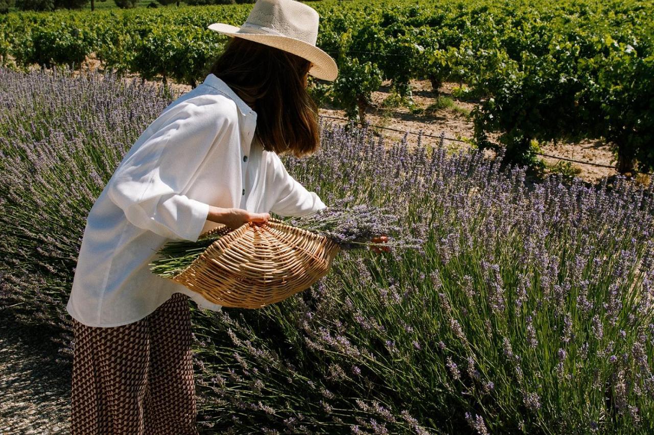 Abadia Retuerta Ledomaine Hotel Sardon De Duero Eksteriør billede